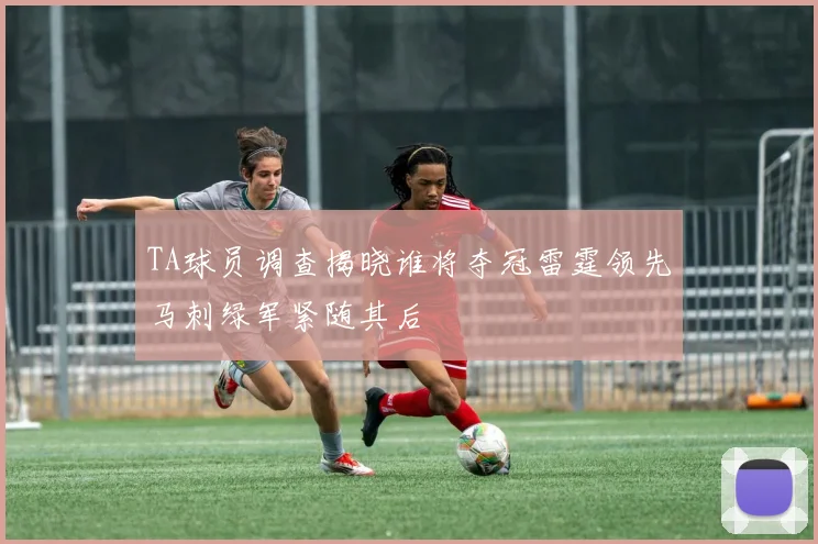 TA球员调查揭晓谁将夺冠雷霆领先马刺绿军紧随其后